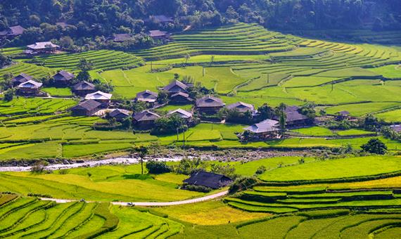 我行我素 素食旅遊|愛越山城之巔~雲霧沙壩、傳奇纜車、玻璃天空步道、絕美梯田5日 (含導遊領隊服務費/上網卡)